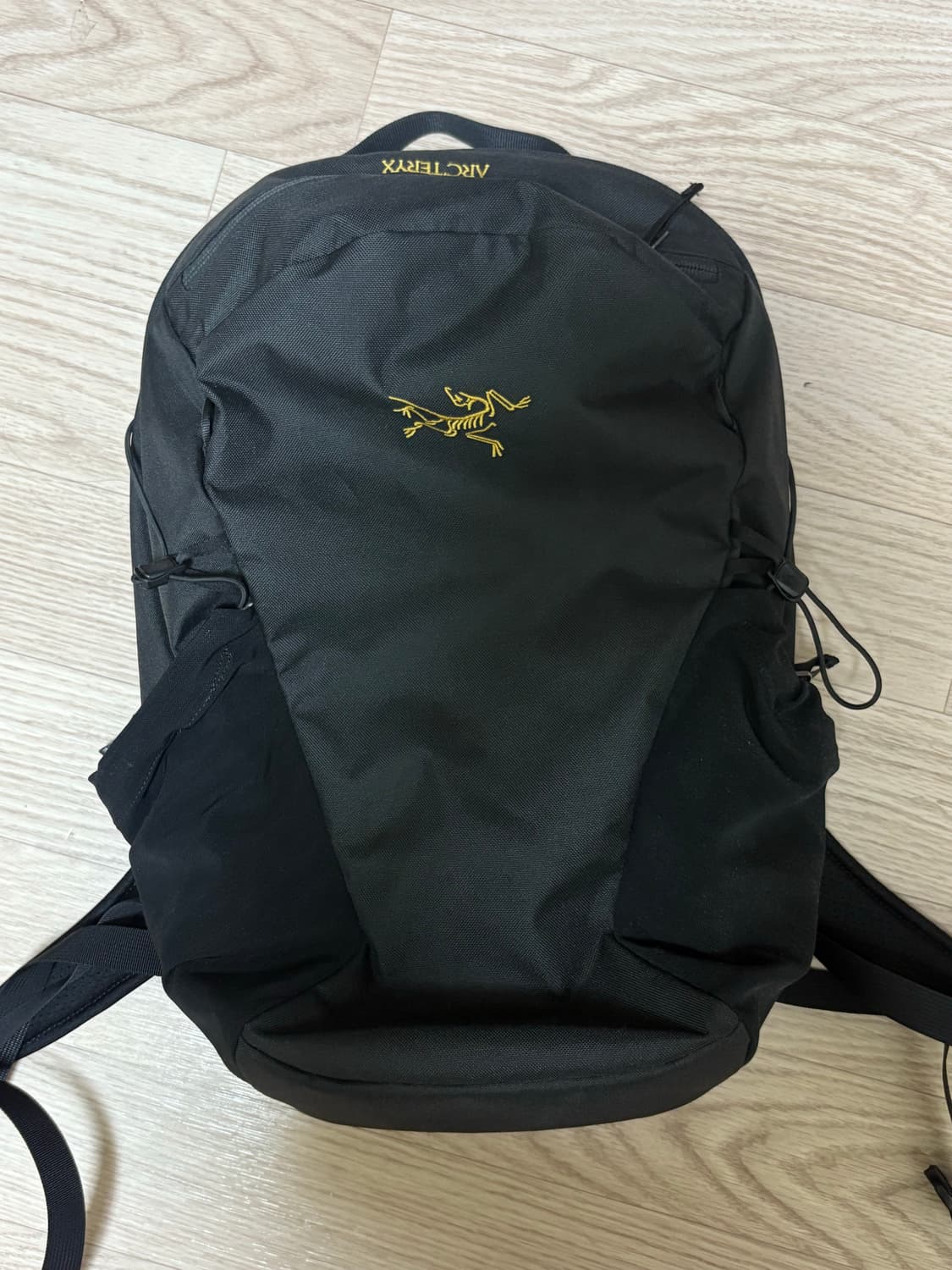 아크테릭스 백팩 상품이미지1