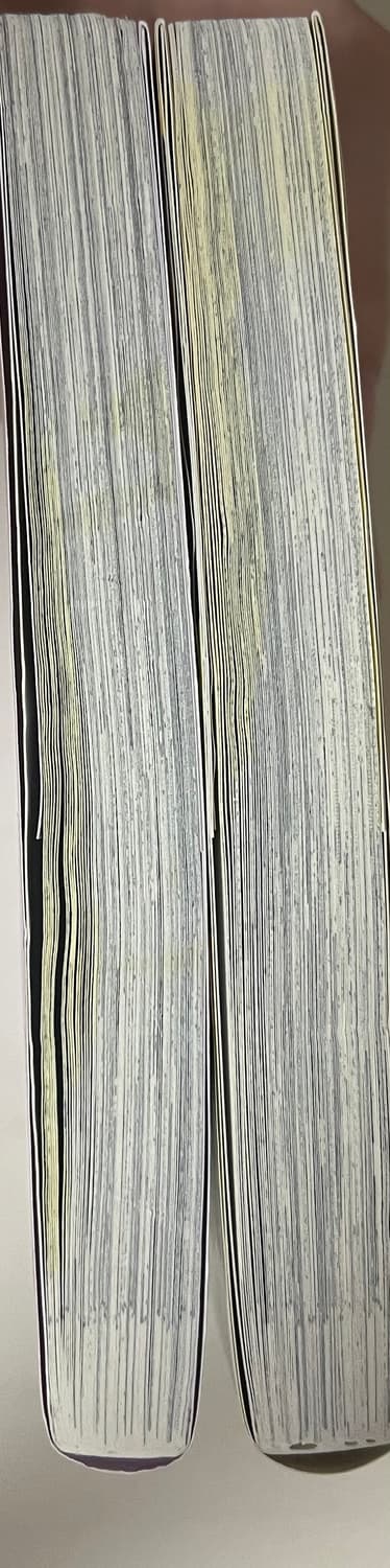 일본어판)친구의 누나를 사랑한 이야기,누나의 친구가 성가신 이야기 8권 상품이미지5