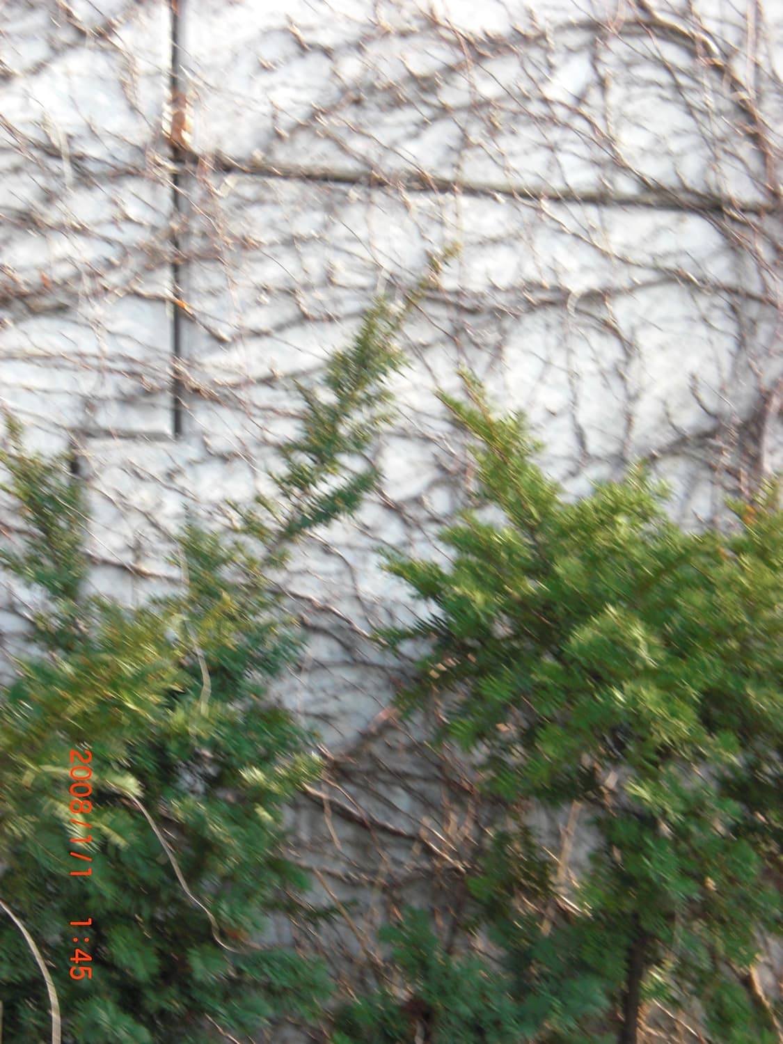 작례o)Casio Exilim EX-Z20 카시오 엑실림 선미아일릿디카 상품이미지8