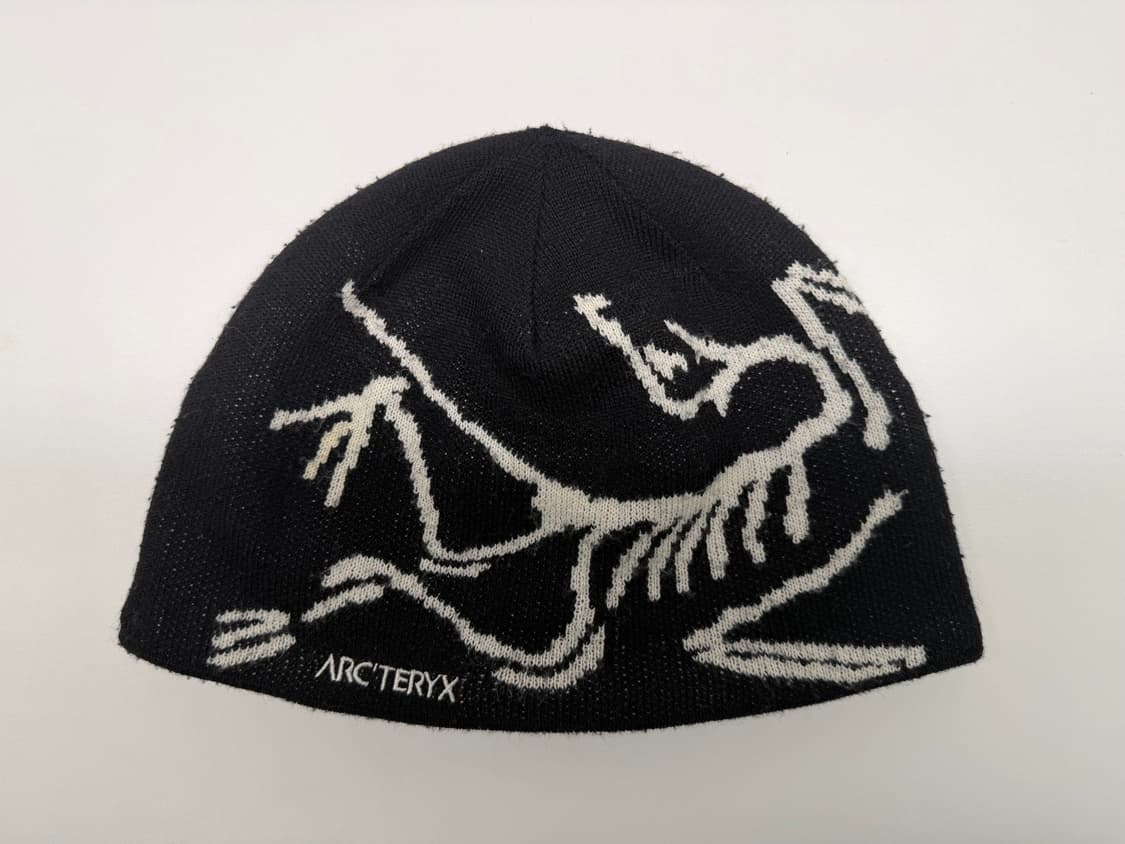 아크테릭스 버드 헤드 토크 오르카 비니 상품이미지1