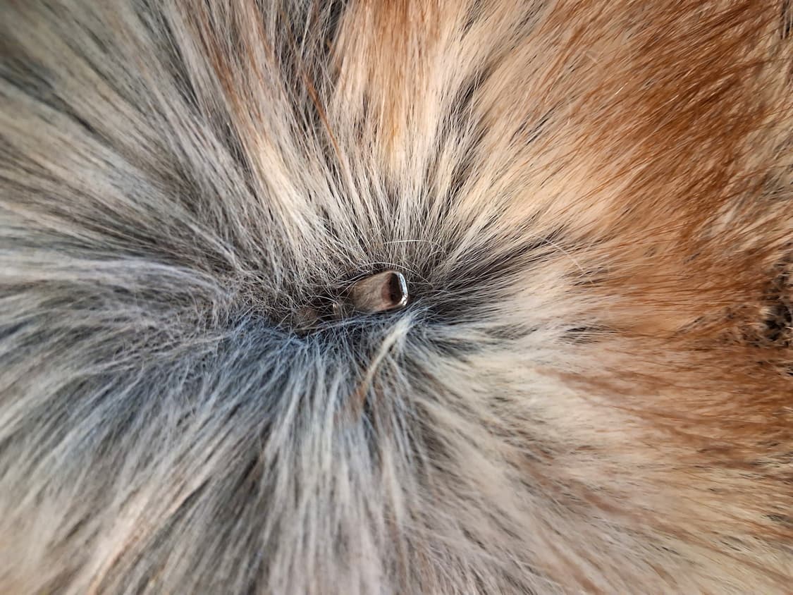 화이트 럭셔리 페이크 퍼 롱코트 (새상품) 상품이미지10