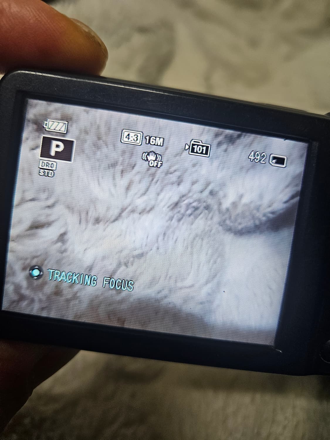 소니 dsc-w710 레트로 디카 빈티지 카메라 상품이미지6