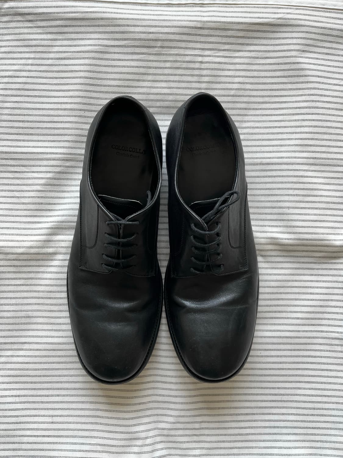 컬러콜라 10007 BK Horse Derby (270-280) 상품이미지2