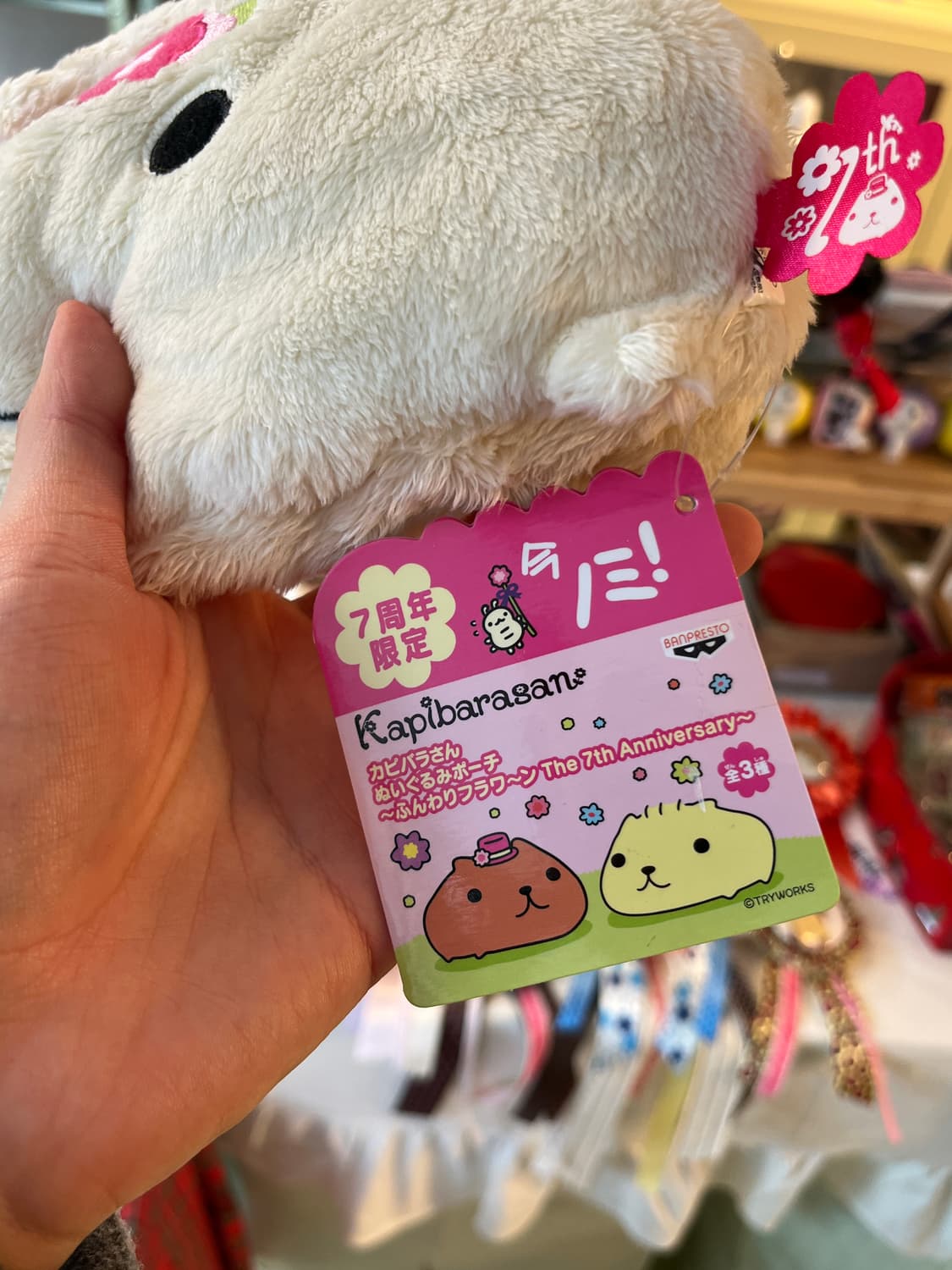 카피바라상 파우치🎵 상품이미지5