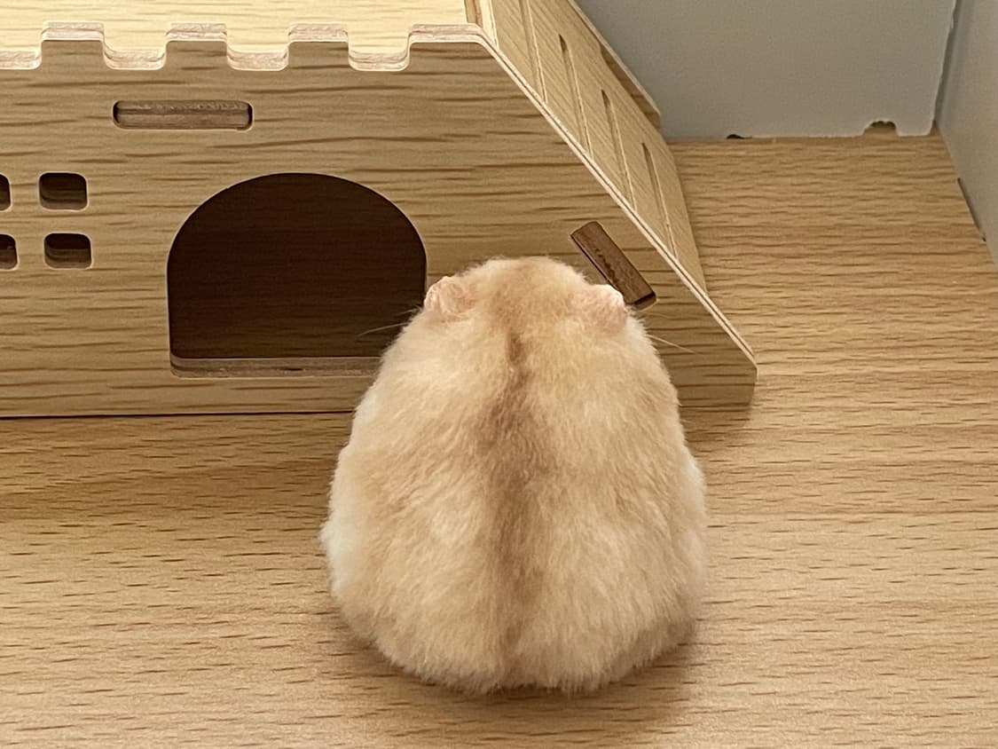 햄스터 실사 인형 (개귀여움) 상품이미지4