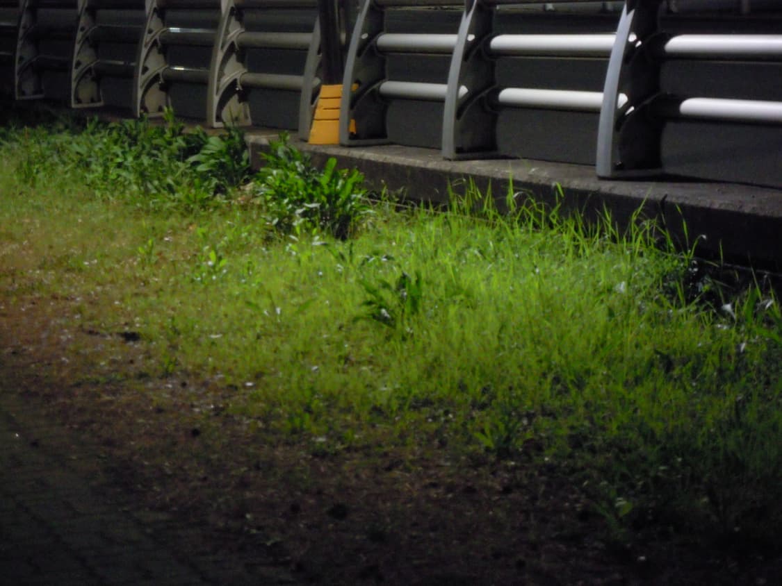 츄디카, 새상품급) 니콘 쿨픽스 s5100 상품이미지9