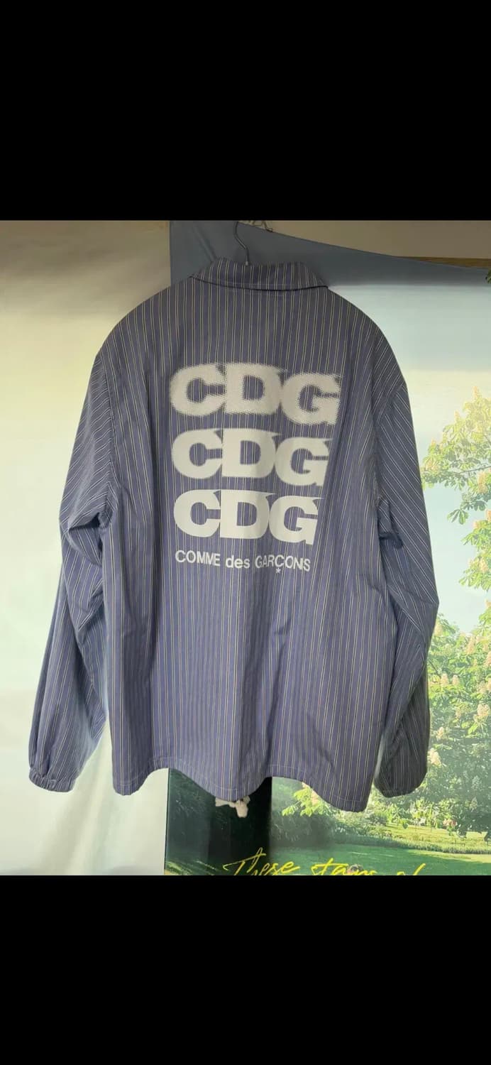 CDG 꼼데가르송 코치자켓 스트라이프 지디, 김채원 상품이미지4
