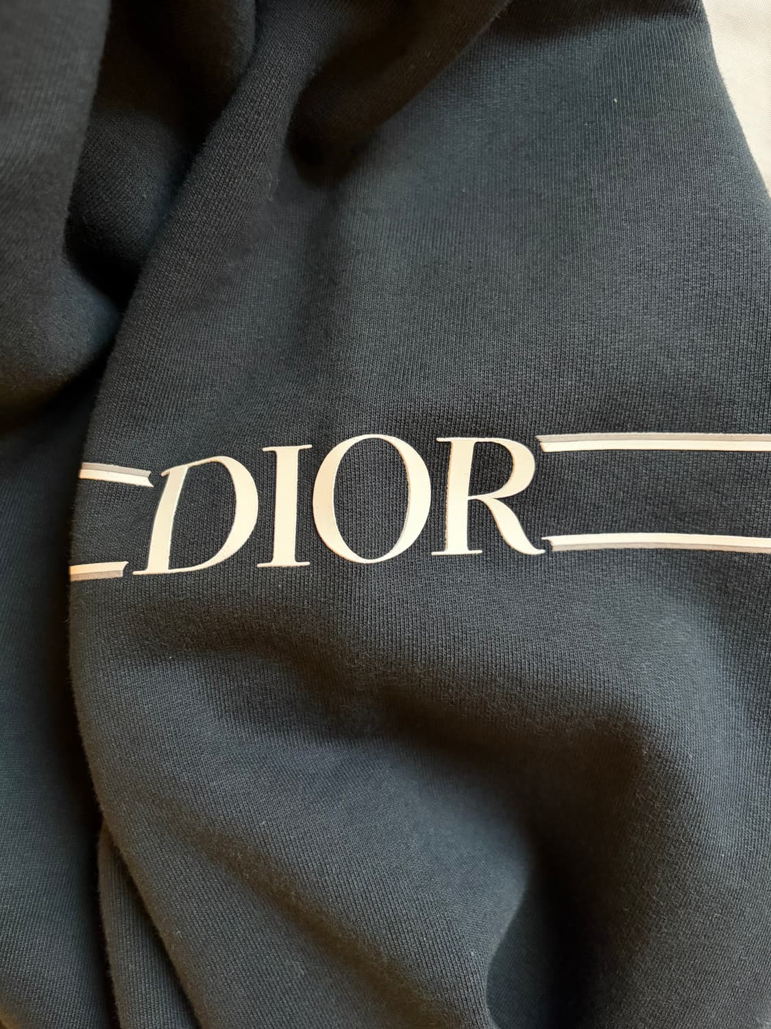 디올 오블리크 아노락 후드티 상품이미지4