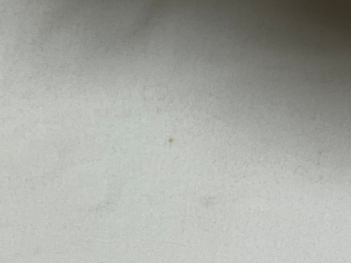 체크 포인트 반팔 카라티 상품이미지4
