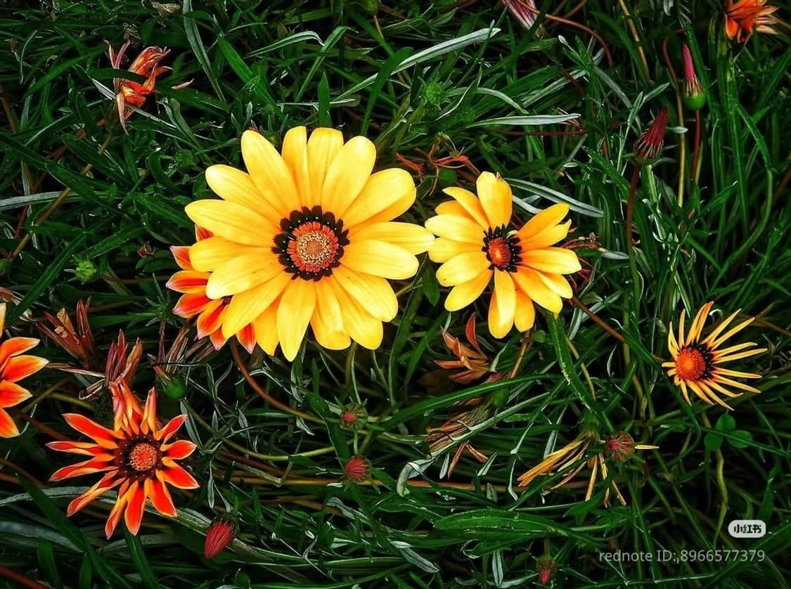 Nikon COOLPIX 니콘 쿨픽스 L30 실버 상품이미지6