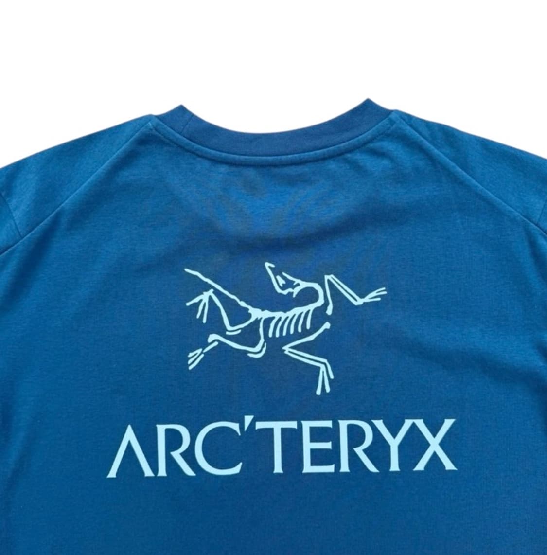 아크테릭스 SL 코튼 버드워트 반팔 상품이미지4