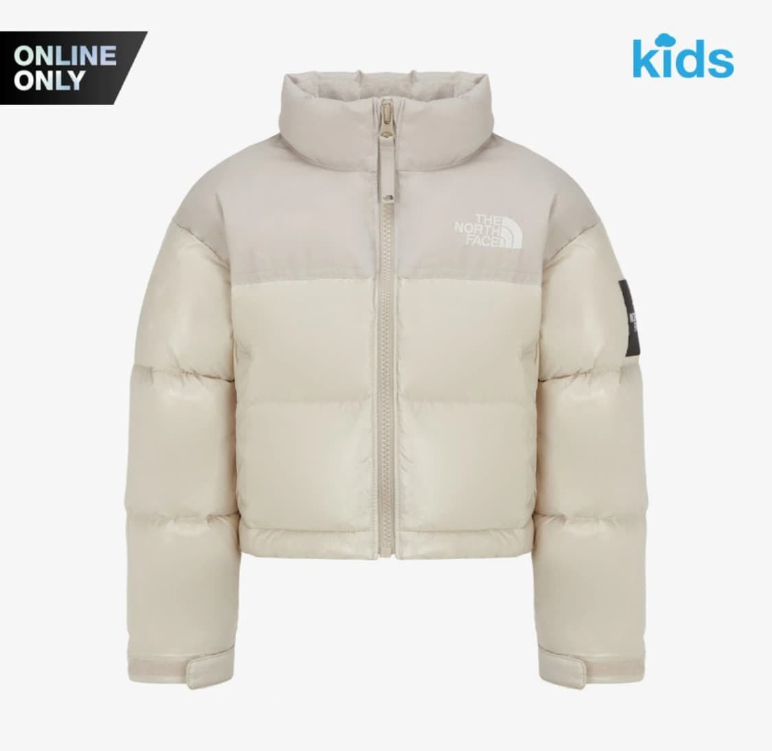 노스페이스 패딩s 상품이미지1