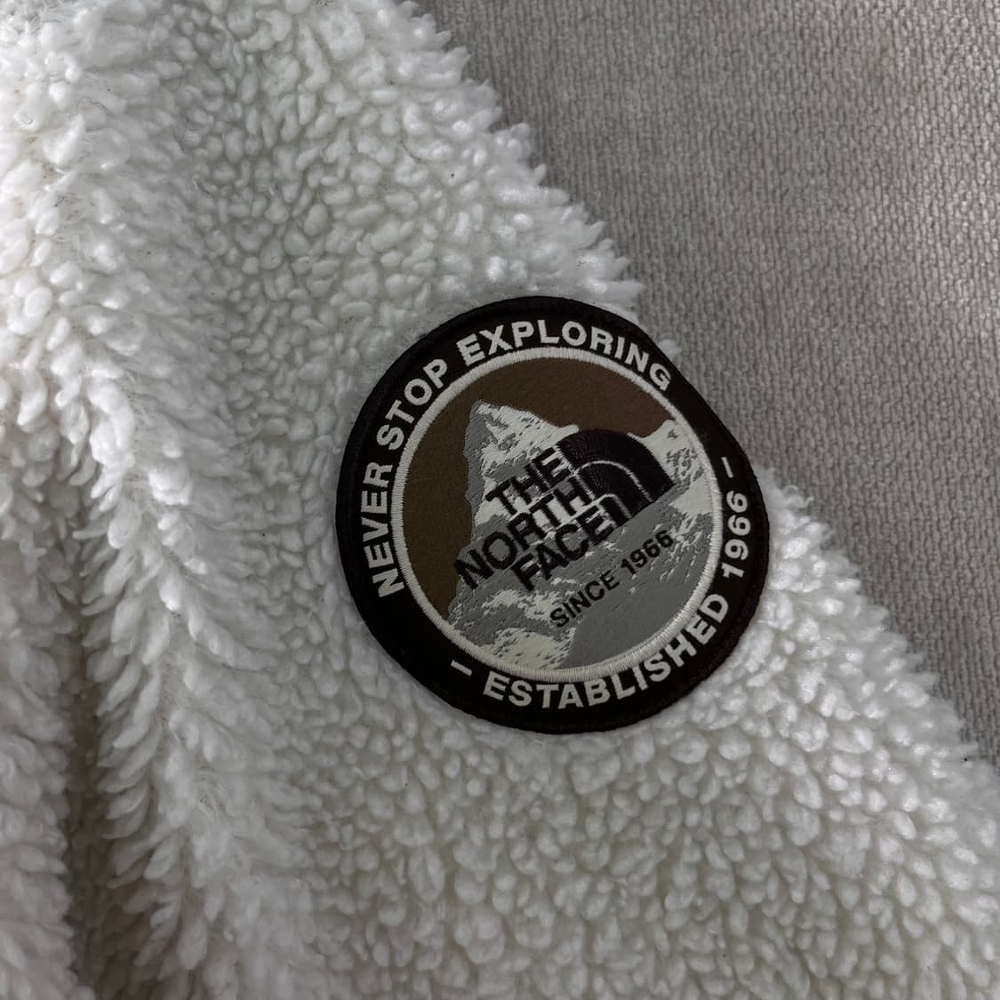 100 노스페이스 에코 플리스 후드집업 상품이미지4