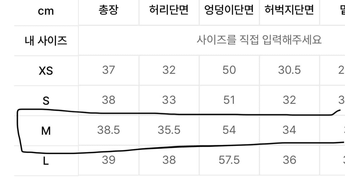 아디다스 파이어버드 쇼츠 반바지 다크블루 M / IY7211 상품이미지5