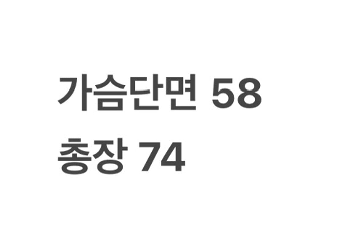 [정품/L,100] 노스페이스 하이벤트 바람막이 자켓 b19 상품이미지9