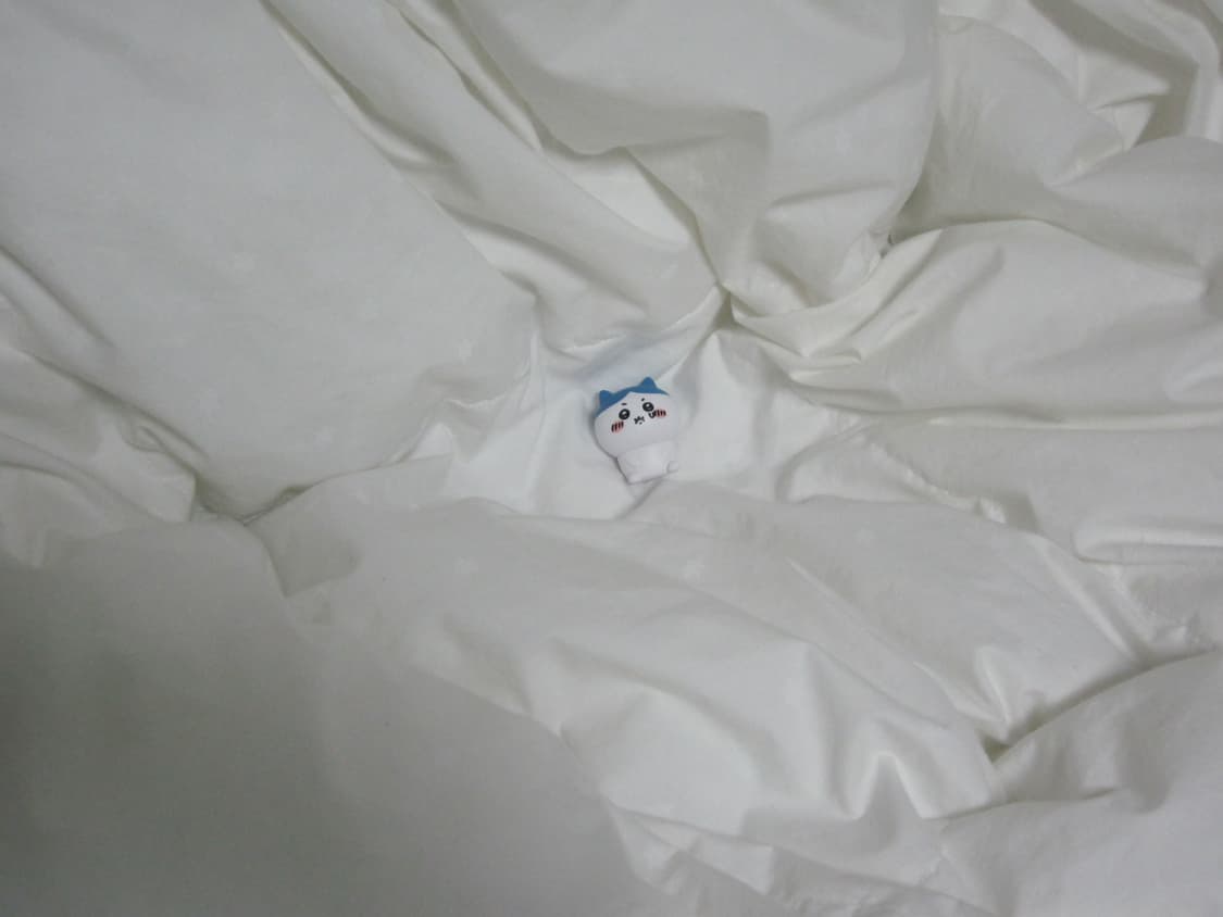 ixy 200f (=ixus 105) / 익시 200f(=익서스 105) 상품이미지7