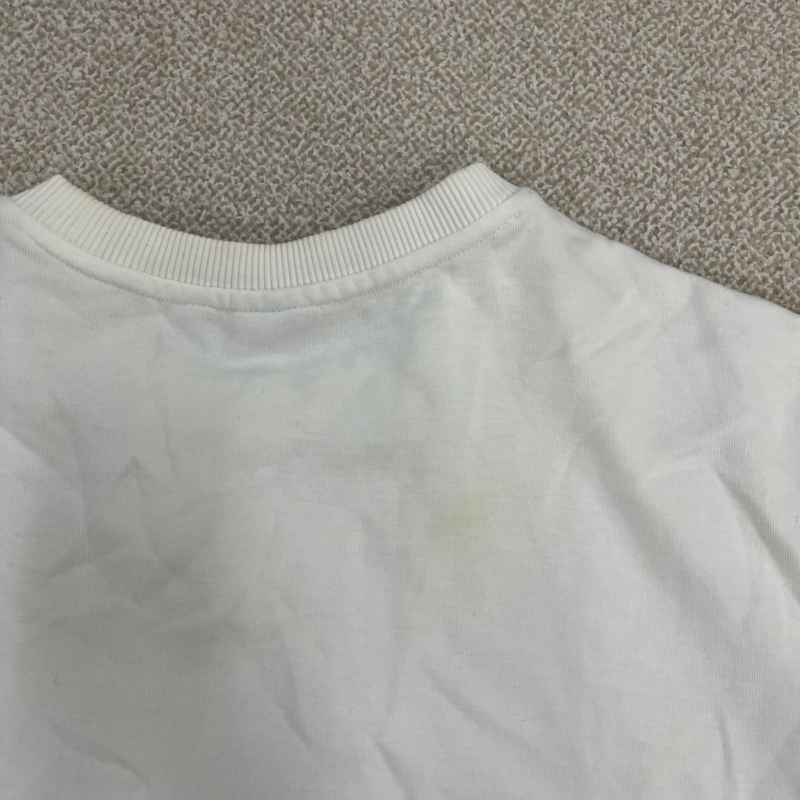 L 휠라 빅로고 긴팔 맨투맨 0213M 상품이미지5