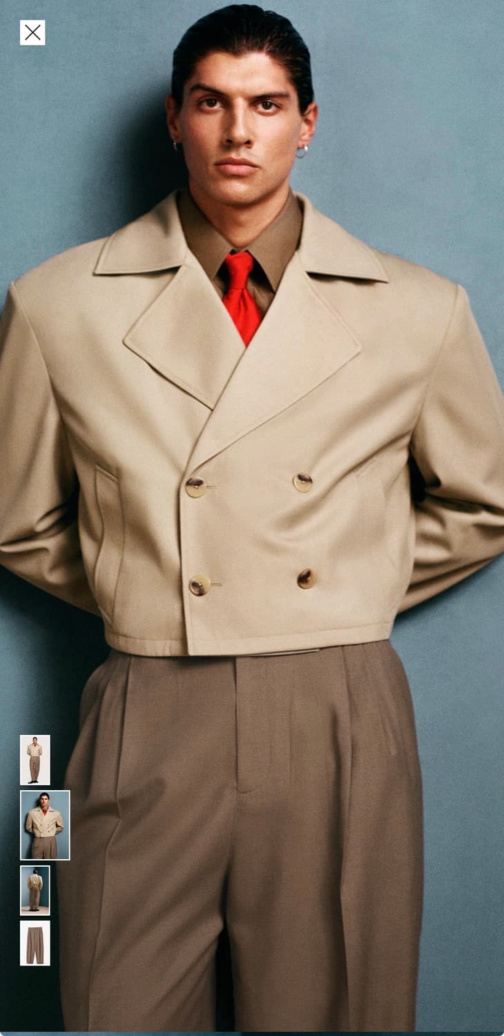 자라 x 윌리 차바리아 플리츠 수트 트라우저 카멜 상품이미지6