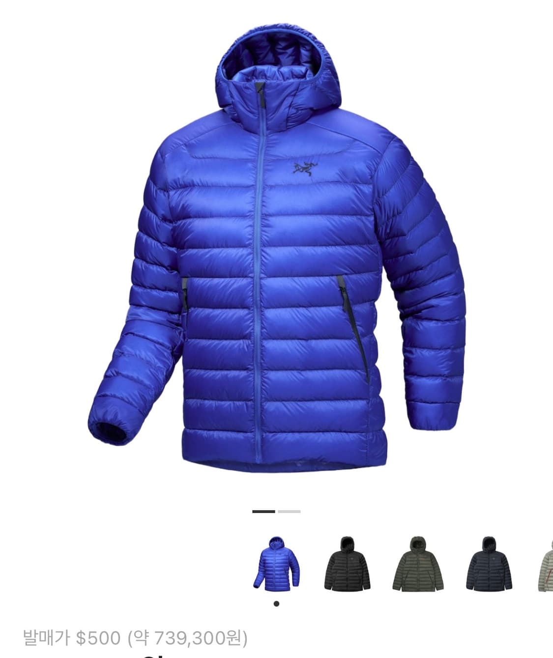 아크테릭스 세륨 바이탈리티 M 새상품 상품이미지2