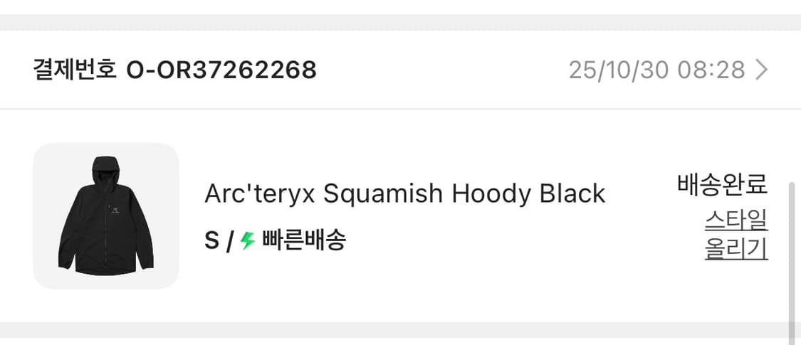 아크테릭스 스쿼미시 s 상품이미지2