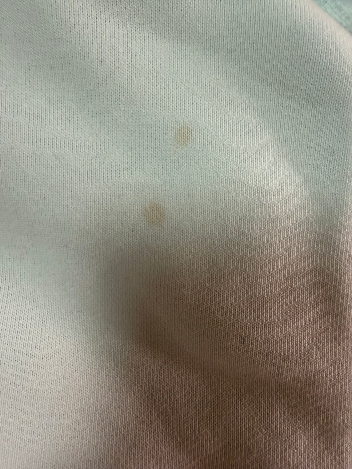 사파리스팟 스웻팬츠 상품이미지2