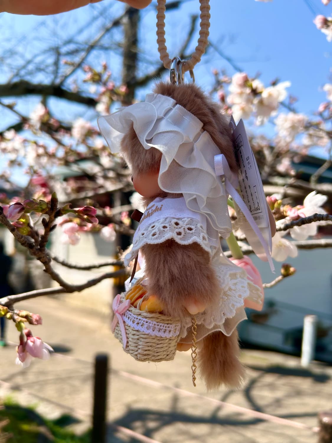 (72)정품몬치치💕 오사카에서 만난 봄🌸 상품이미지9