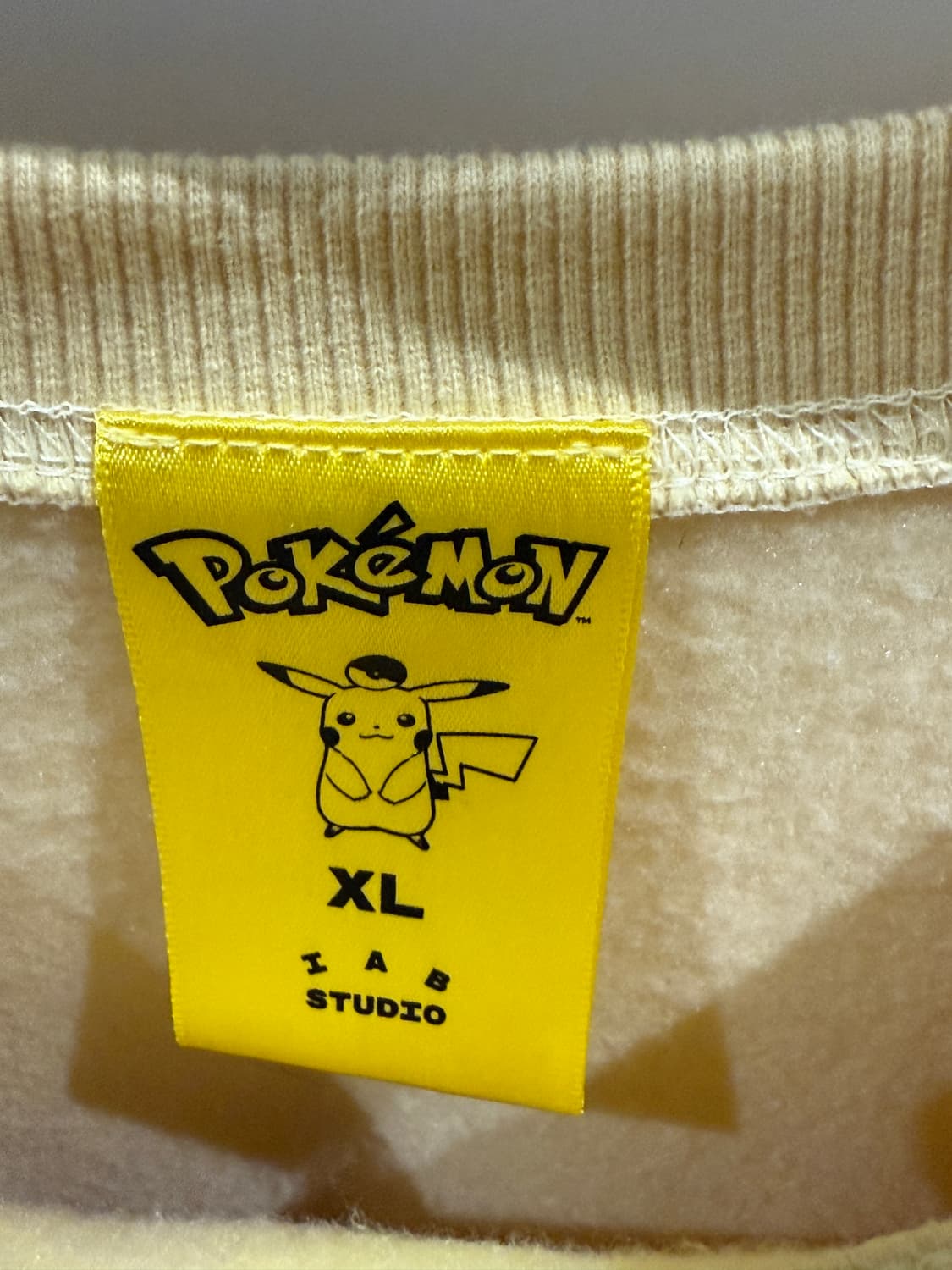 Iab studio x 포켓몬 기모 맨투맨 XL 상품이미지4