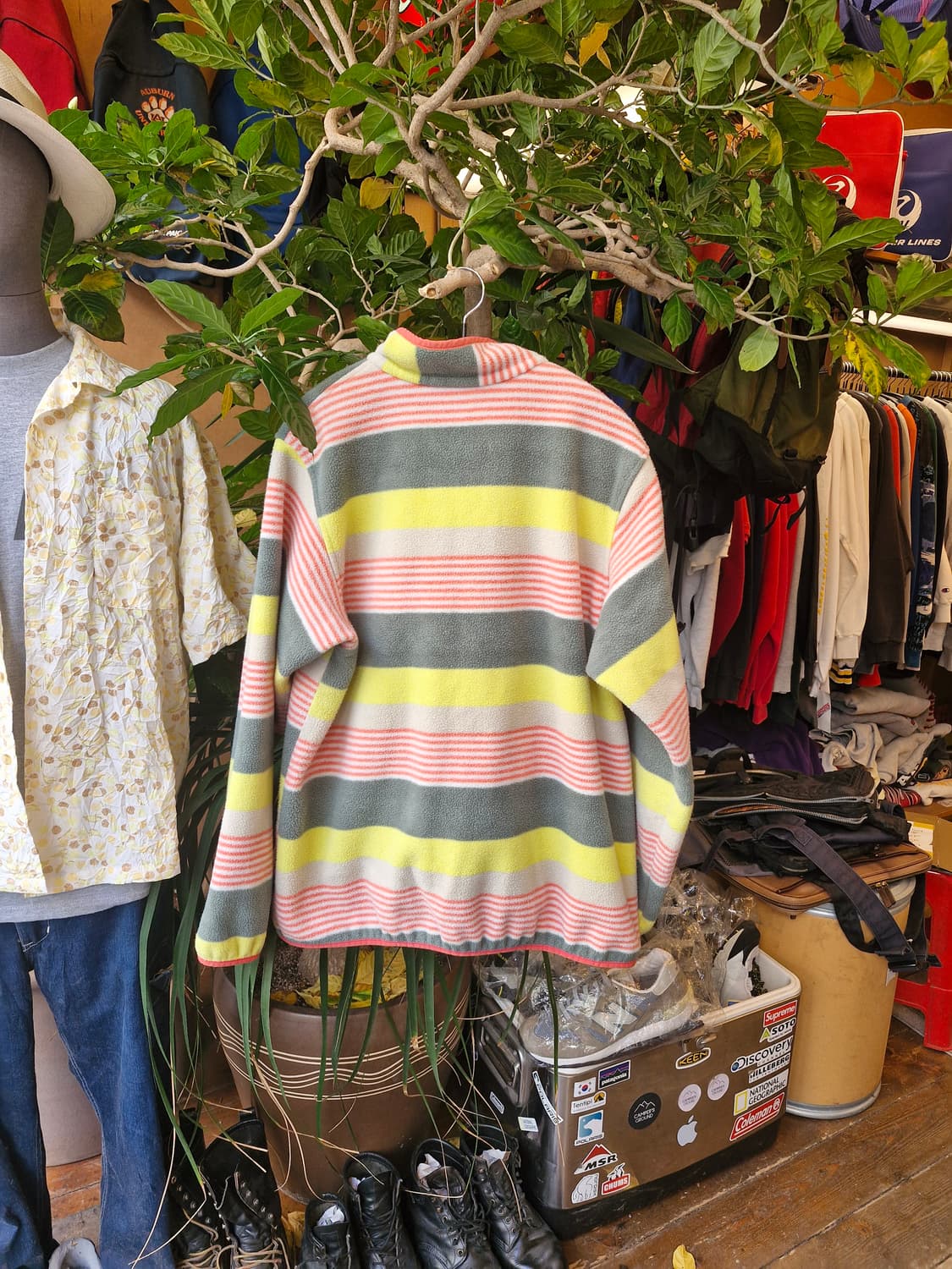 Z-296 파타고니아 신칠라 트로피컬 레인보우 상품이미지2