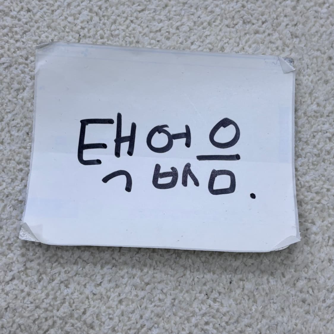 XL 챔피온 프린팅 반팔 티셔츠 0320E 상품이미지4