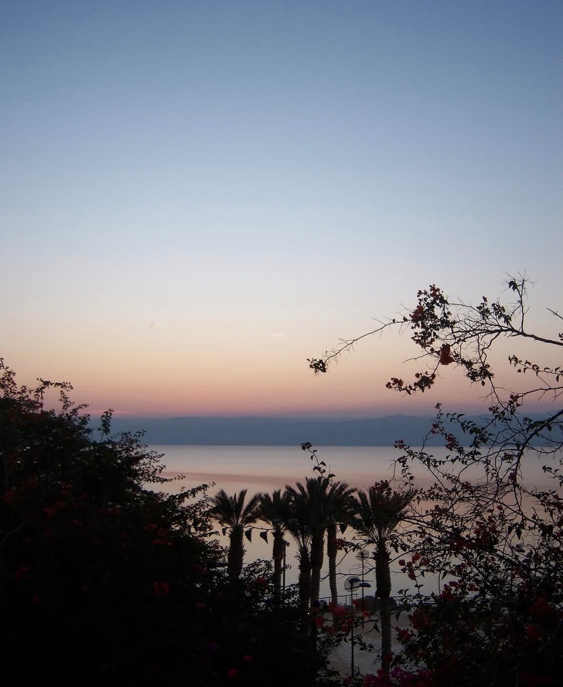 코닥 이지쉐어 v803 디지털카메라 상품이미지10