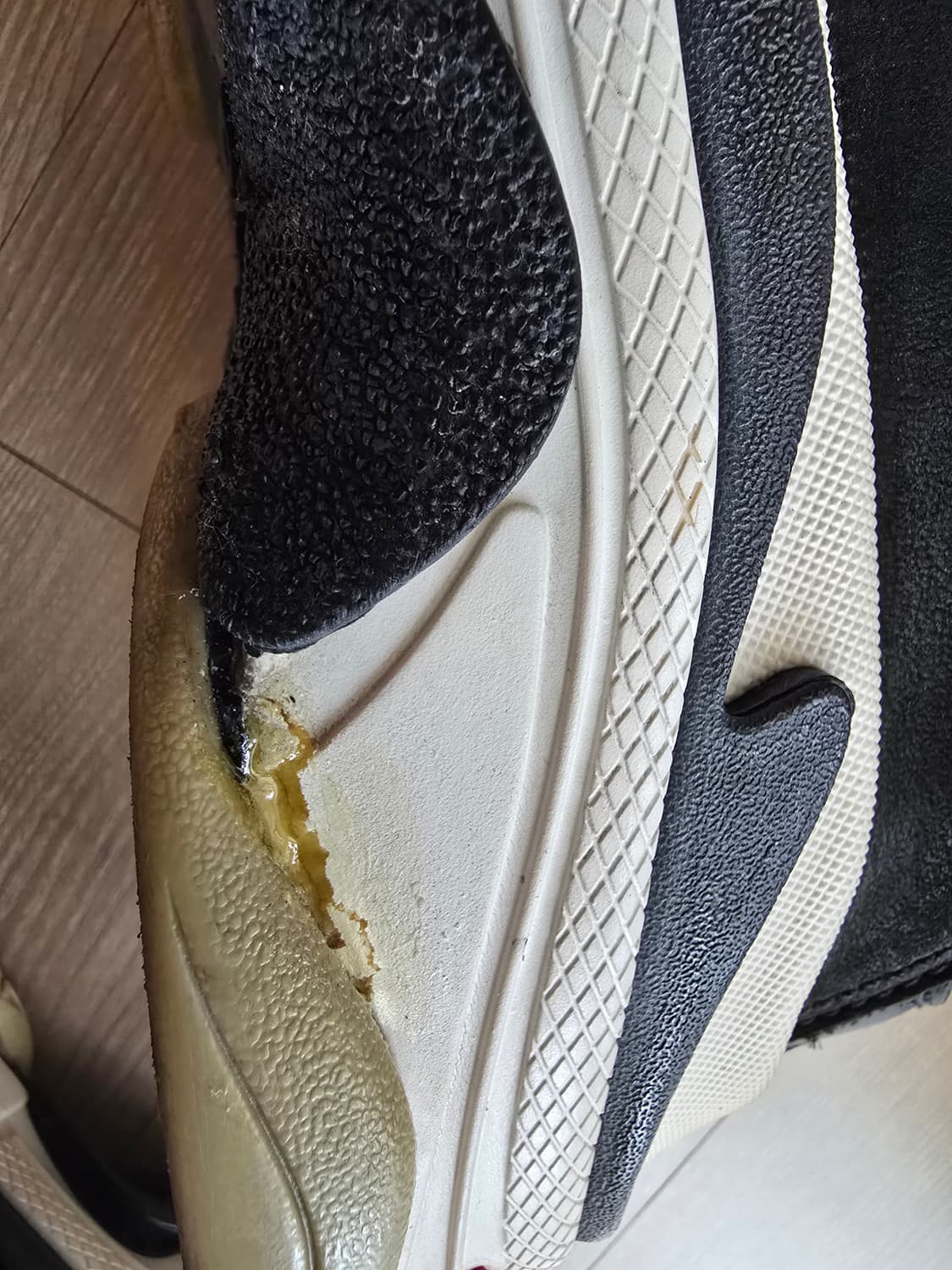 발렌시아가 44 상품이미지6