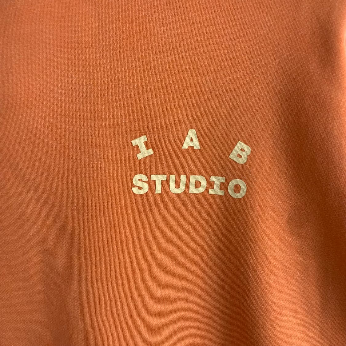 아이앱스튜디오 피그먼트 살몬 후드티 상품이미지5