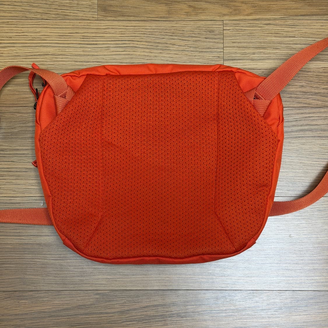 아크테릭스 맨티스2 웨이스트팩 상품이미지2