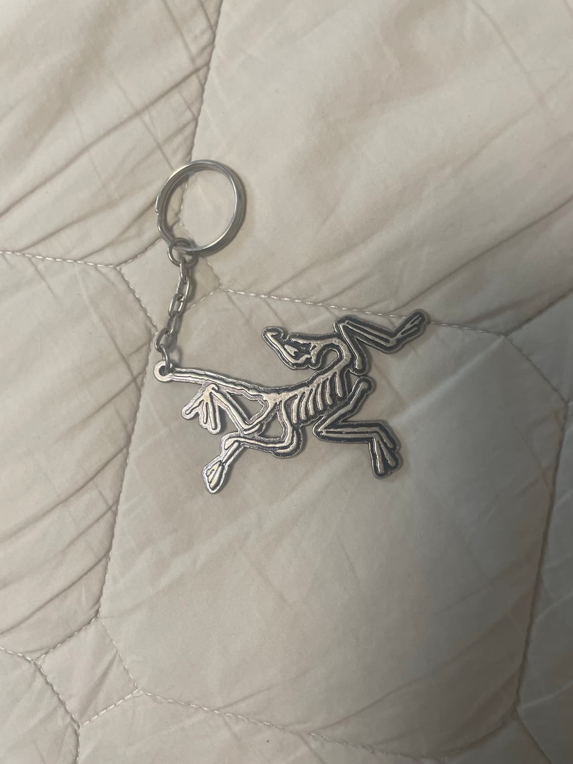 아크테릭스 키링 상품이미지1