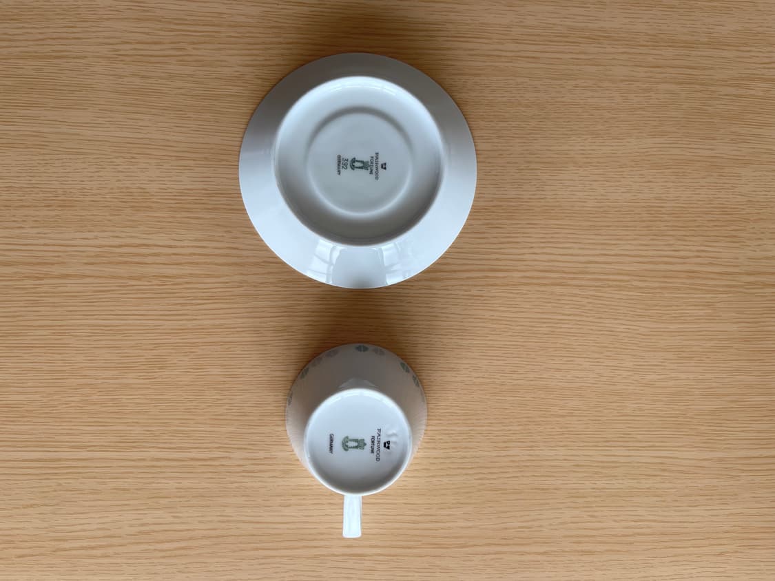 Fairwood-Schonwald cup & saucer 상품이미지4