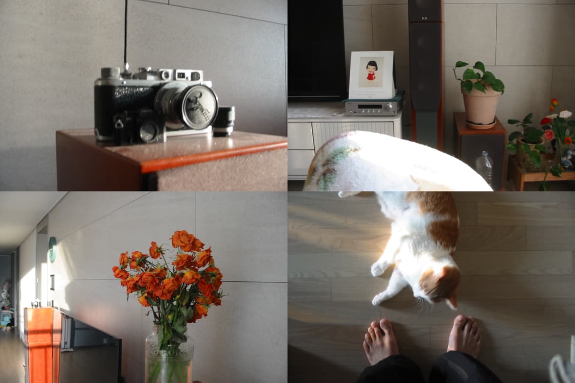 캐논 파워샷 a40 디지털 카메라 상품이미지2