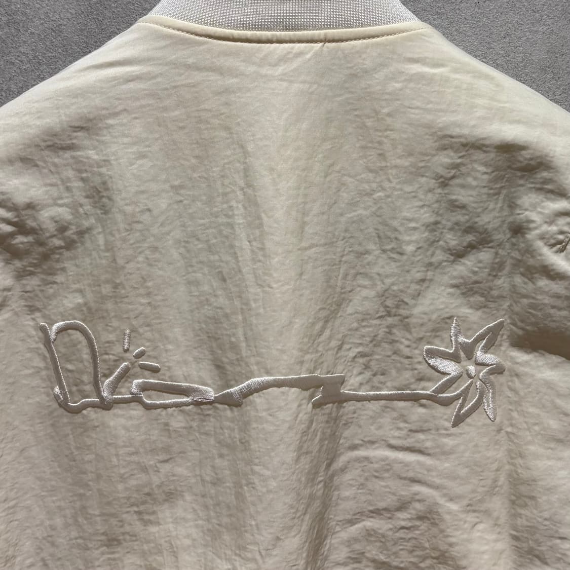 48/디올 캑터스 잭 스캇 봄버 블루종 자켓 상품이미지2