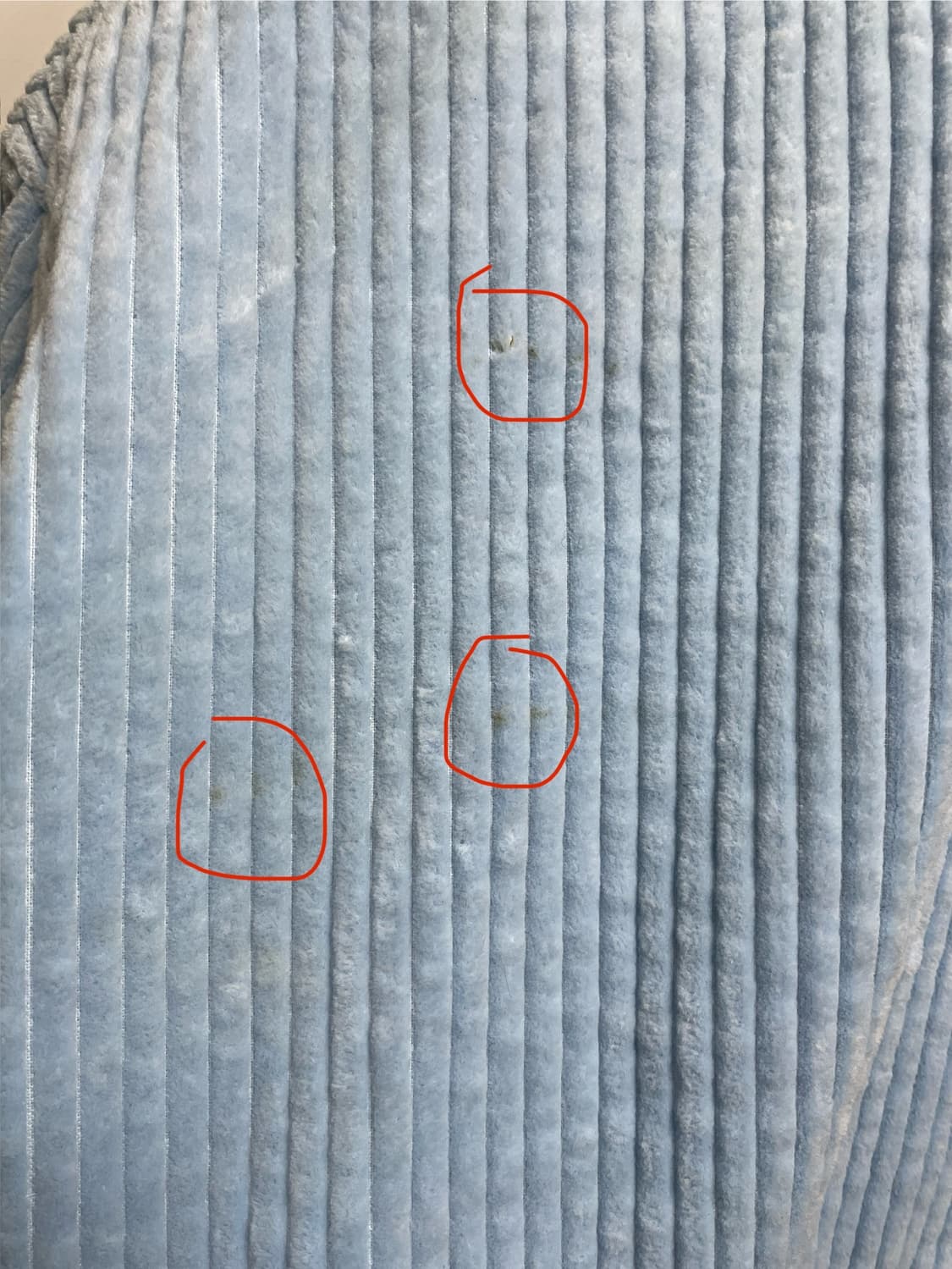 톰브라운 x koe 자켓 상품이미지5