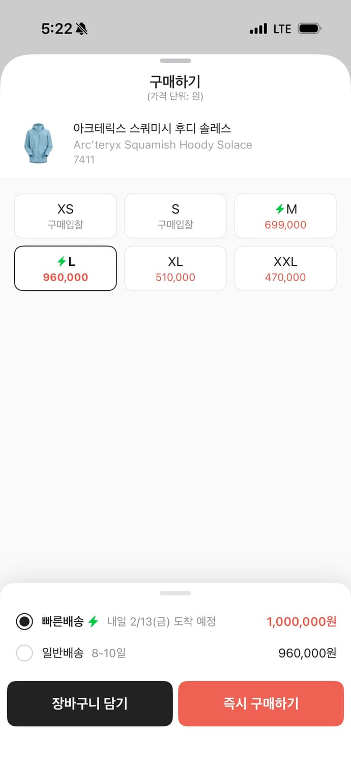 아크테릭스 스쿼미시 솔레스 L 상품이미지4