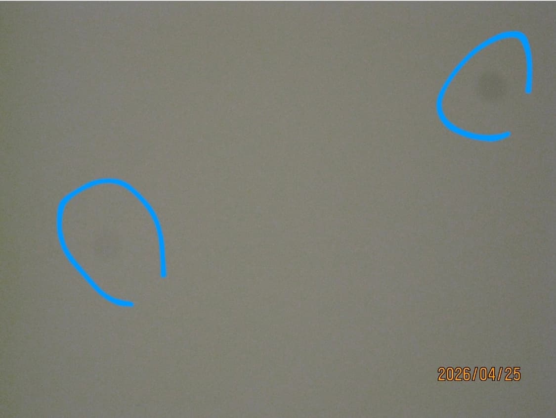 캐논 익서스 950 토모토모 디카 상품이미지8
