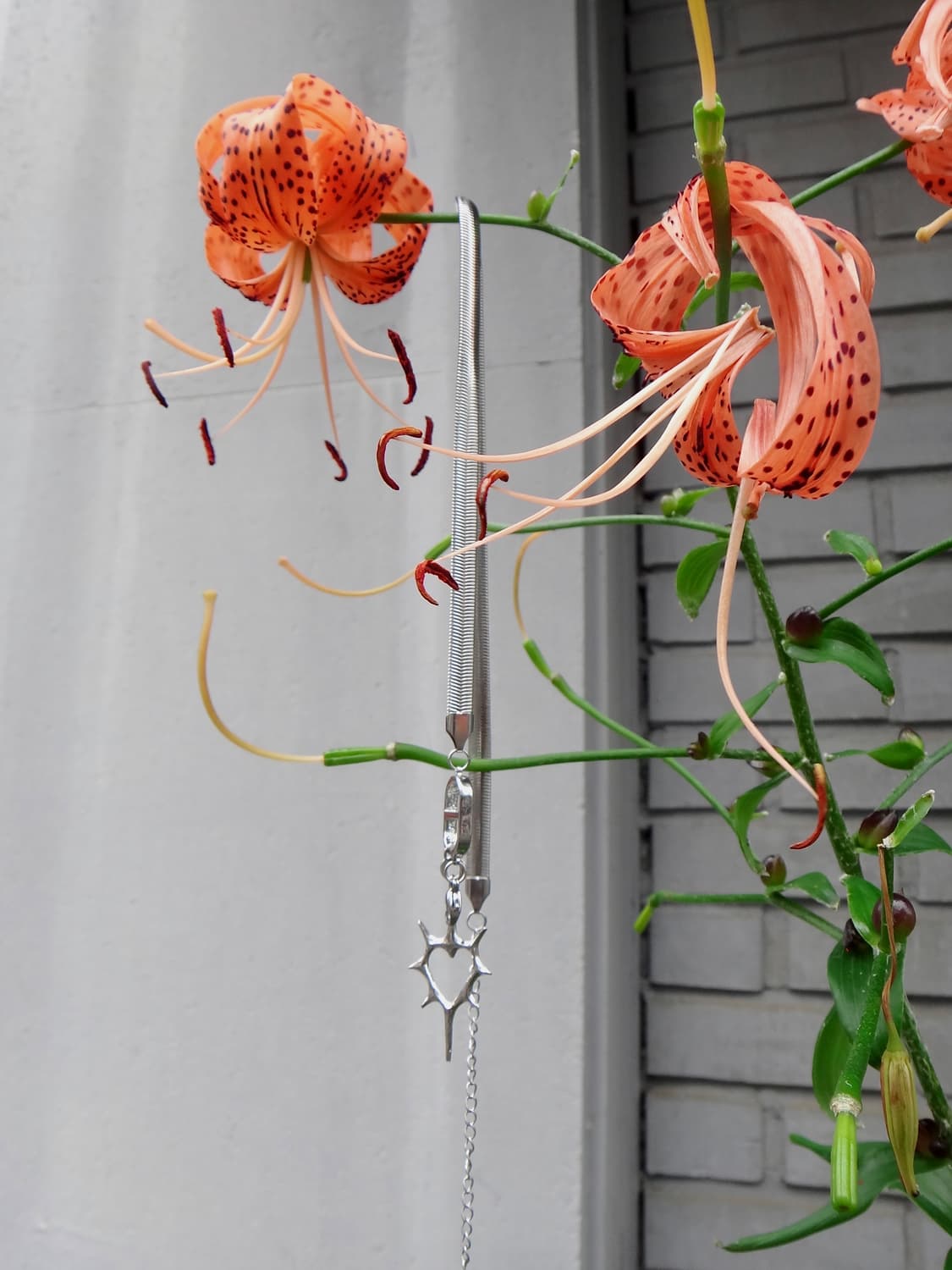 Thorny heart layered necklace 상품이미지5