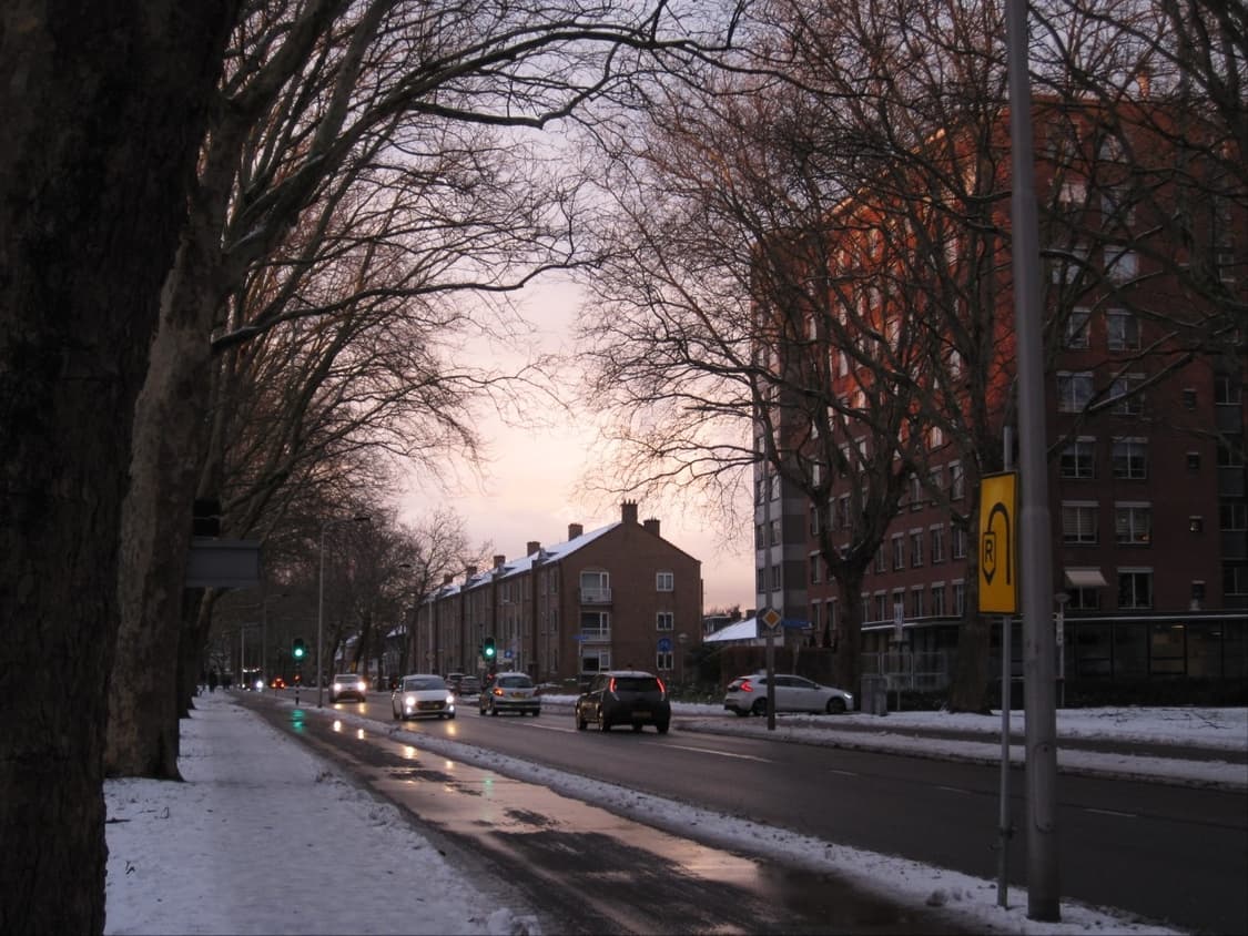 캐논 익서스 95is / 작례 o 상품이미지9