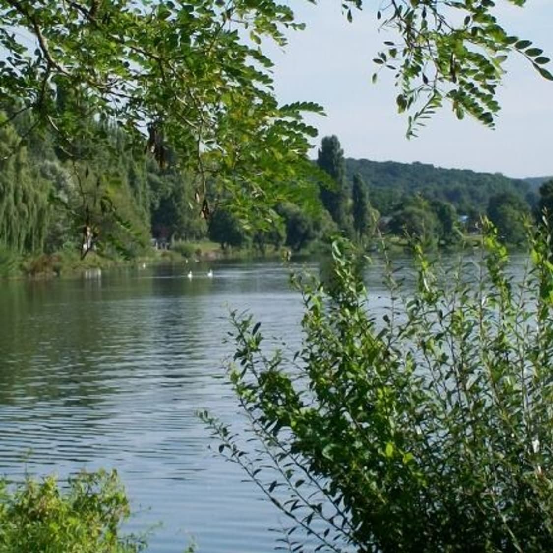 레어✧･ﾟKodak easyshare c140 코닥 이지쉐어 디카 상품이미지2