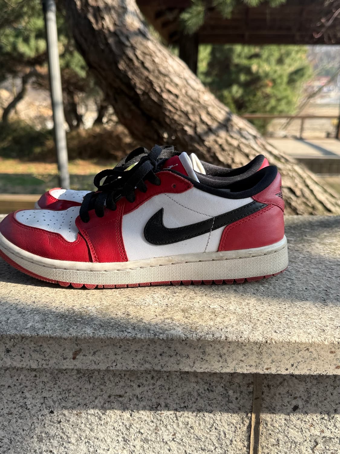 조던 시카고 골프 상품이미지1