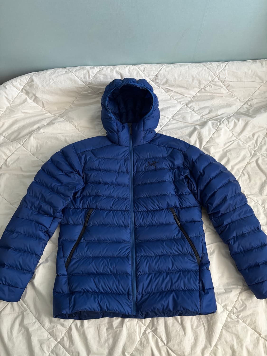 [S] 아크테릭스 25FW 세륨 바이탈리티 상품이미지1