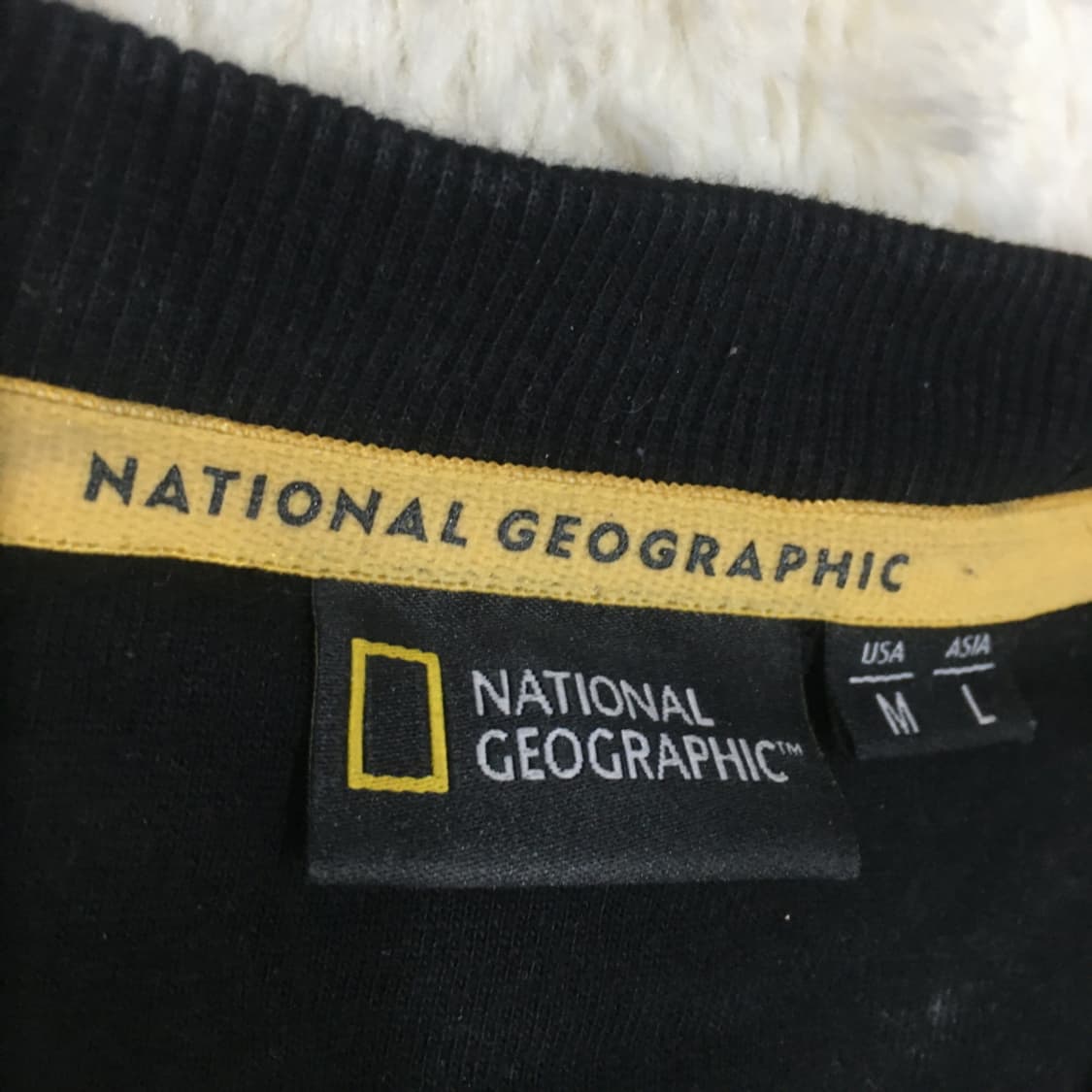 내셔널지오그래픽 스몰로고 맨투맨 BB19 상품이미지4