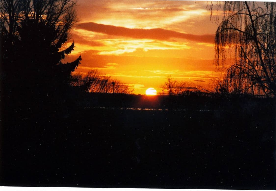 작례O 스냅 감성 최강 리코 rt550 필름카메라 빈티지 필카 상품이미지3