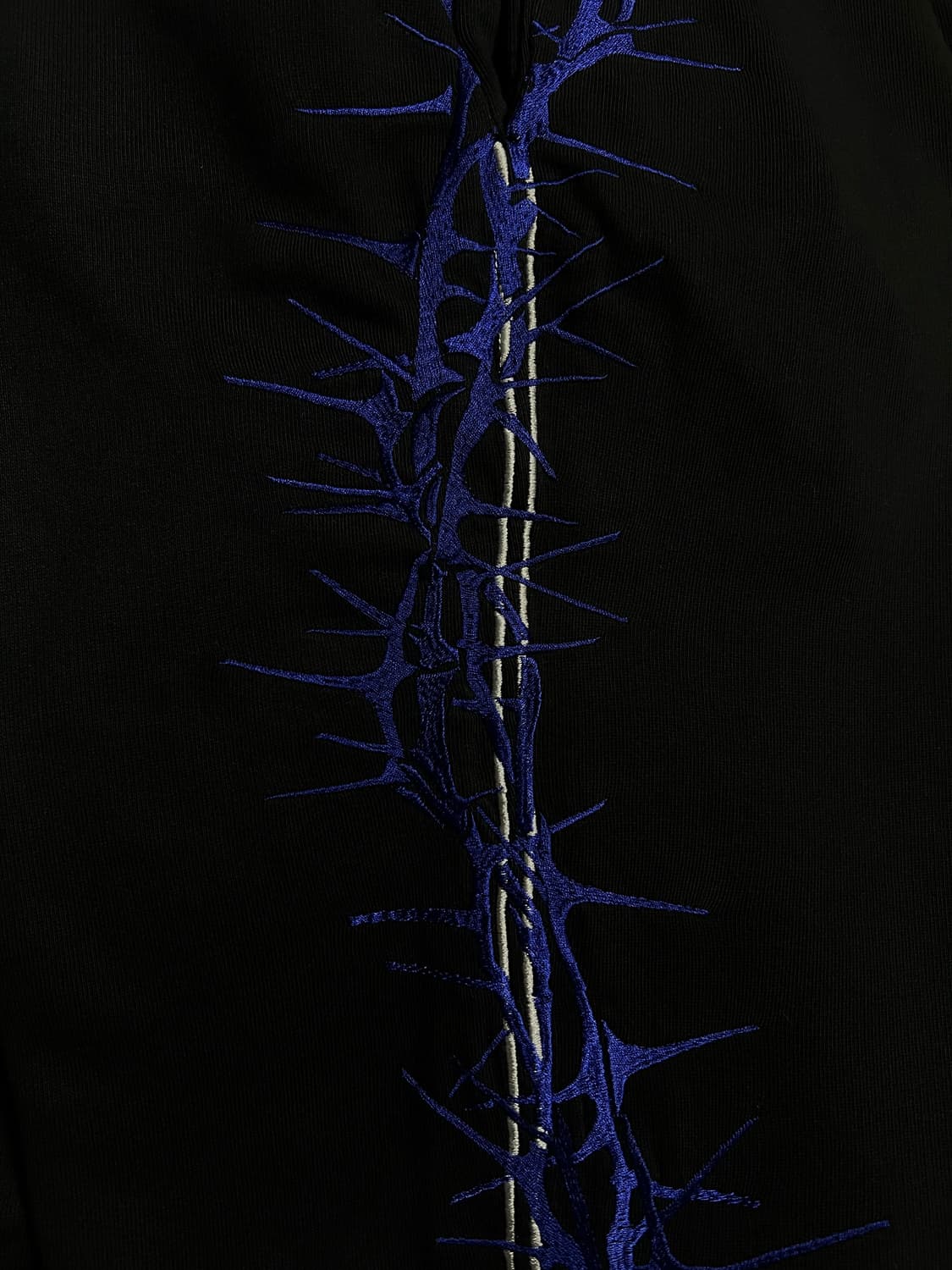 Haider Ackermann Thorn Embroidered Pants 상품이미지5