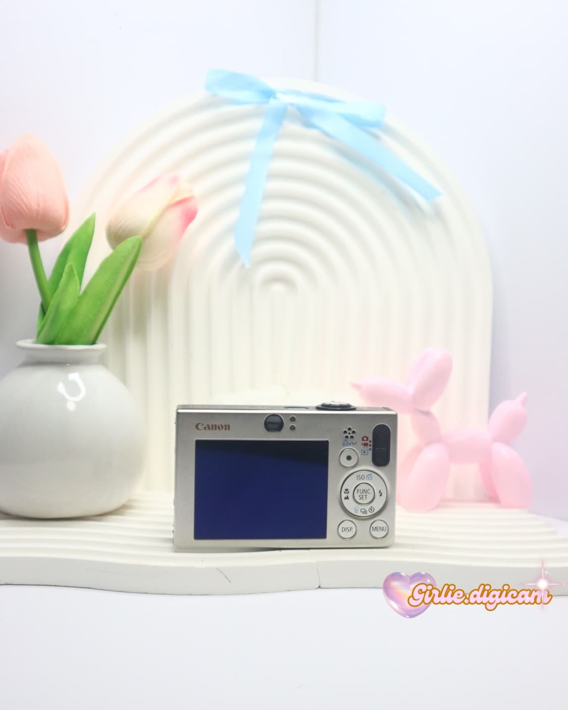 *인프루언서디카*캐논 익서스 70/ 익시 10 필름색감 끝판왕(직접체험) 상품이미지6