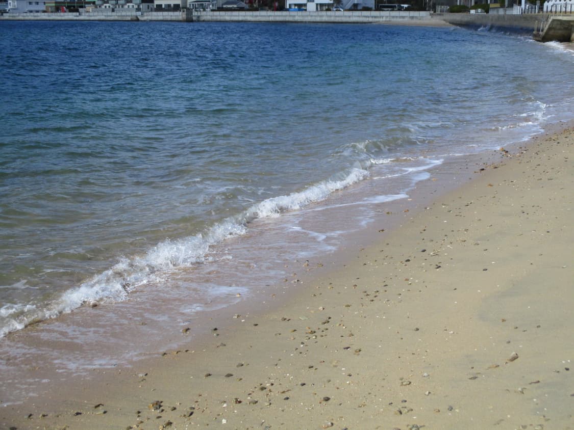 캐논 익서스 175 익시 180 디카 상품이미지4